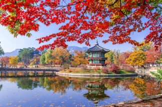 Du lịch Hàn Quốc tự túc post image