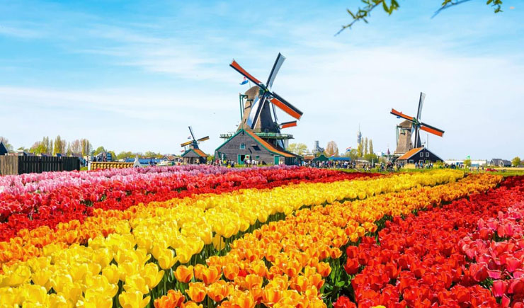 Nên đi tour du lịch Hà Lan Tết 2020 địa điểm nào?