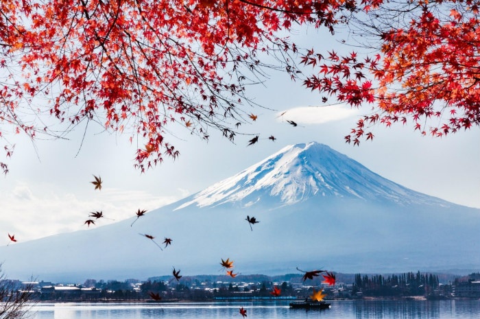 Tour du lịch Nhật Bản tết hấp dẫn nhất năm 2020