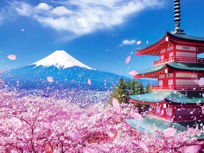 Tour du lịch Nhật Bản tết nguyên đán 2020 hấp dẫn nhất
